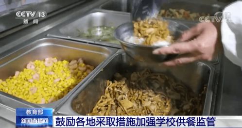 筑牢校園飲食安全網(wǎng) 教育部推動加強供餐監(jiān)管，守護學生健康底線